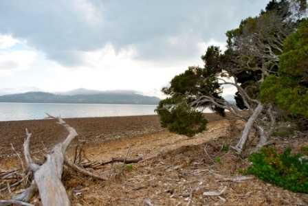 Paper Beach